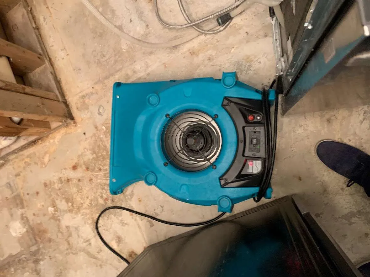 Air mover drying equipment for Mold Remediation & Removal in East Greenbush